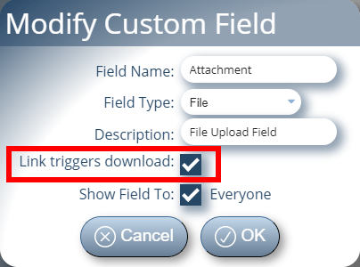 New custom File Upload field options